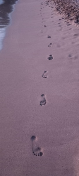 Spuren im Sand von Stefanie Goldbrich